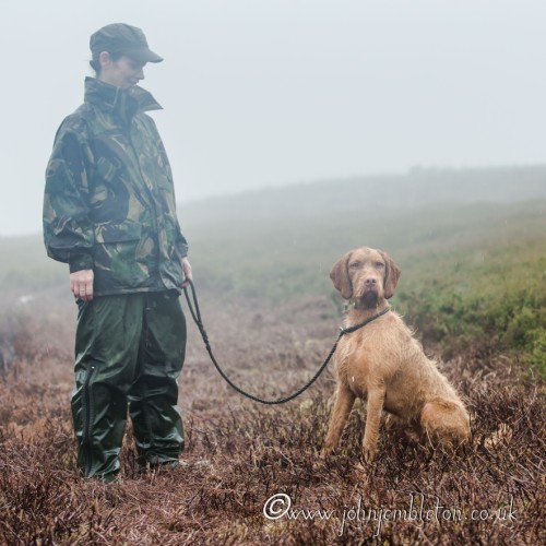 Leroy training on Grouse Moors - always at his best when on the moors