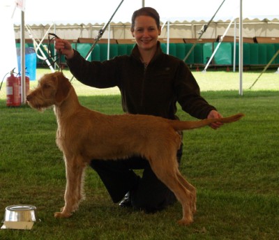 Breha 2nd place Puppy