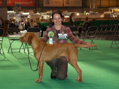 Crufts 2012 Best Bitch in Breed - Bitch Challenge Certificate