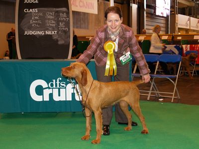 Saffy Crufts 2010